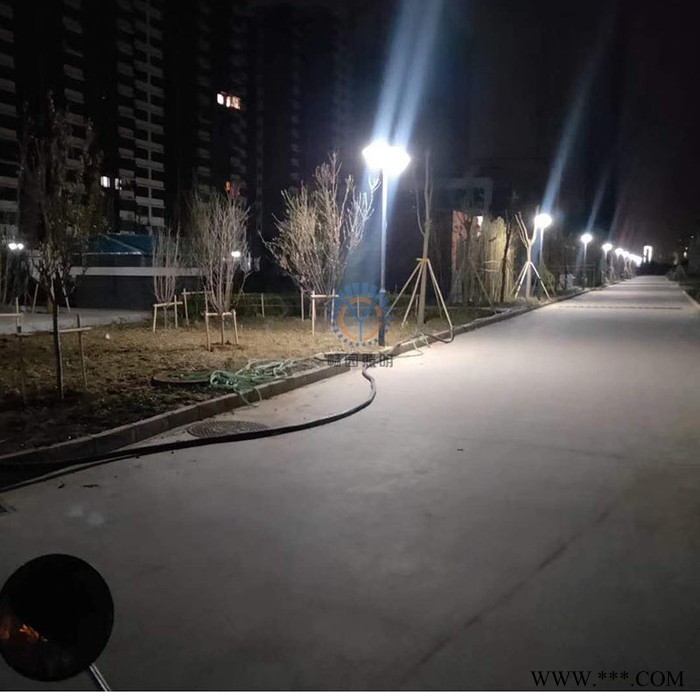 畅园cyzm 镀锌管庭院灯 单双头庭院灯 单头太阳能庭院灯 仿古庭院灯图5