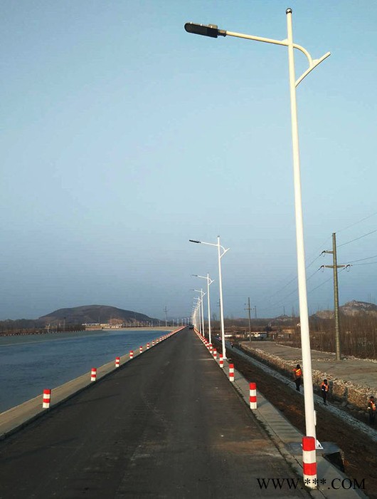 畅园照明供应双头太阳能路灯双头太阳能路灯价格优惠 一体化led路灯配置 可定制 欢迎来电咨询 LED塔吊灯图6