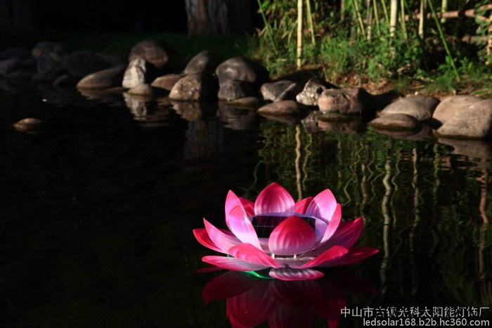 太阳能花灯LED花灯太阳能形花灯LED花形灯太阳能景观灯图2