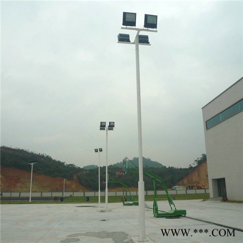 河池南丹县6米太阳能路灯杆{价格仅作参考详情请电联}**图8