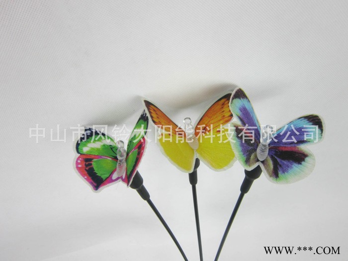 3LED草坪灯  太阳能光纤蝴蝶 太阳能发光灯太阳能庭院灯图2