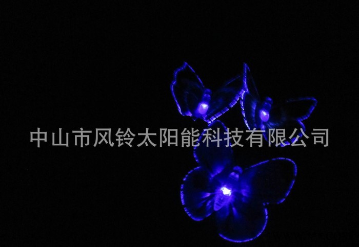 3LED草坪灯  太阳能光纤蝴蝶 太阳能发光灯太阳能庭院灯图3