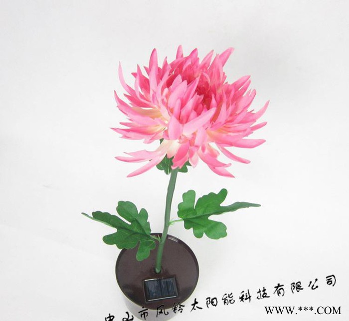 太阳能LED菊花灯、太阳能仿真花灯、太阳能2灯、太阳能庭院灯图3