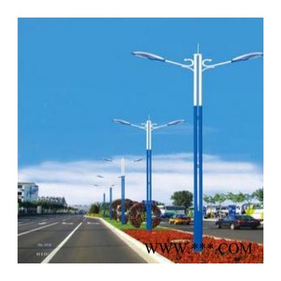 太阳能装饰灯 太阳能装饰灯 扬州路灯批发 扬州路灯制造厂家