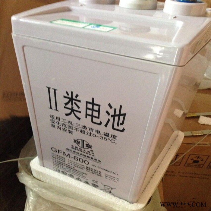 双登蓄电池GFM-200直销 变电站 铁路 太阳能路灯专用2V200AH图2