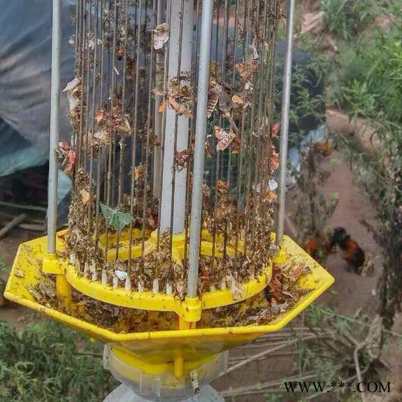 供应比昂BR-T/D-1农用室外太阳能杀虫灯 频振式杀虫灯 价格 年终促销可以优惠 农用室外太阳能杀虫灯价格图3