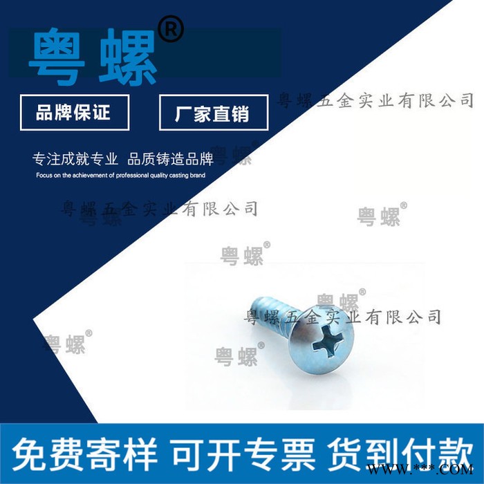 M6塑料螺丝厂家 中山T形铁件螺丝 太阳能灯具五金螺丝 粤螺手紧螺丝图4