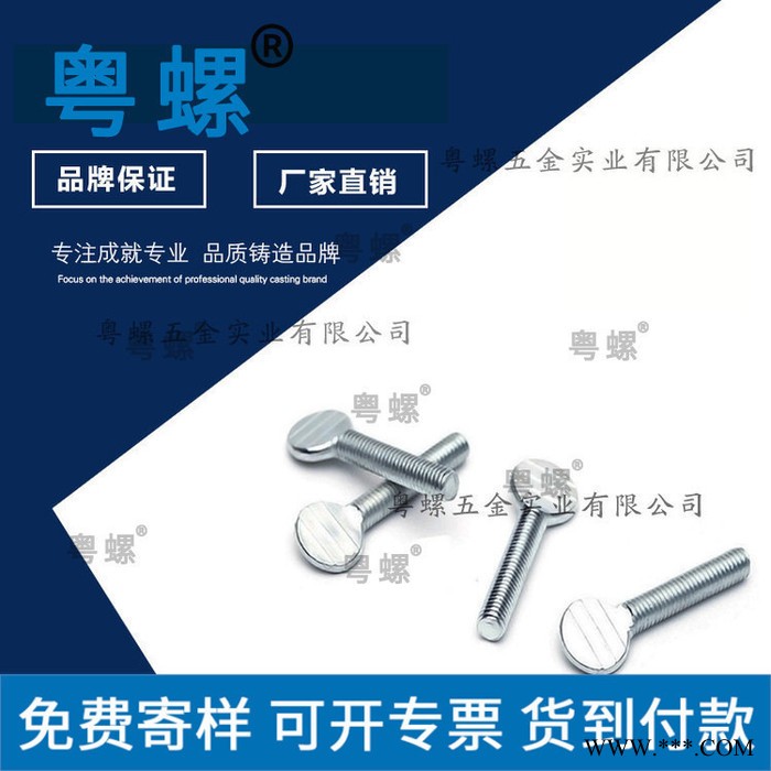 M6塑料螺丝厂家 中山T形铁件螺丝 太阳能灯具五金螺丝 粤螺手紧螺丝图5