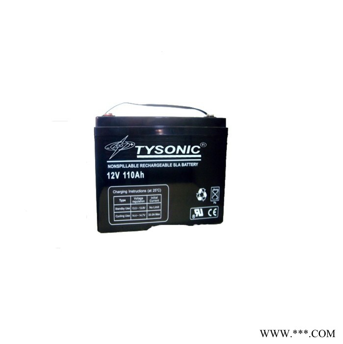 美国TYSONIC TY-12-24  太阳能系统交通及航标信号灯专用  12V24AH现货供应图3