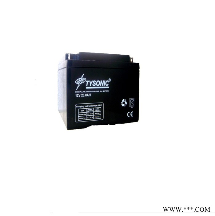 美国TYSONIC TY-12-24  太阳能系统交通及航标信号灯专用  12V24AH现货供应图5