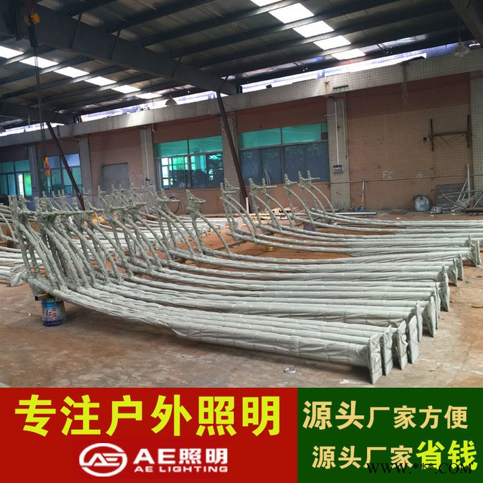 AE照明AE-LDG-01  路灯杆热 镀锌路灯杆 定制 6米led异形灯杆 双臂太阳能热镀锌灯杆生产厂家图2