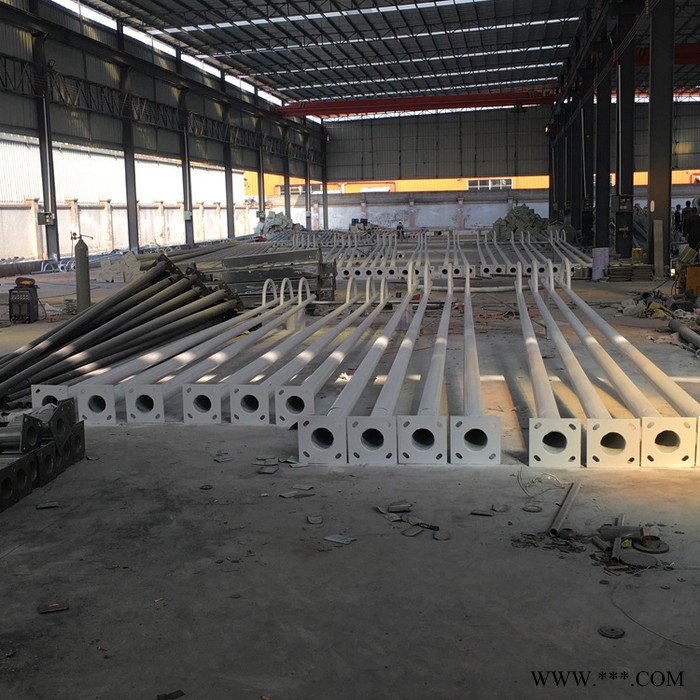 AE照明AE-LDG-01  路灯杆热 镀锌路灯杆 定制 6米led异形灯杆 双臂太阳能热镀锌灯杆生产厂家图3