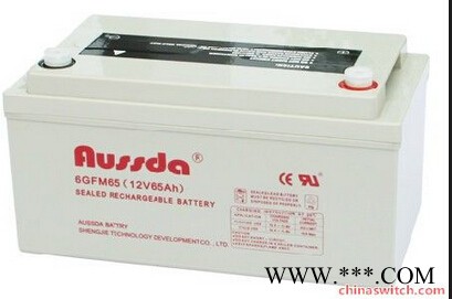 奥斯达蓄电池6FM50 奥斯达蓄电池12V50AH 12V50AH太阳能路灯电池 消防应急电池图3