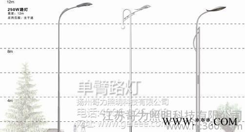 贵州 30W太阳能路灯   太阳能路灯系统图2