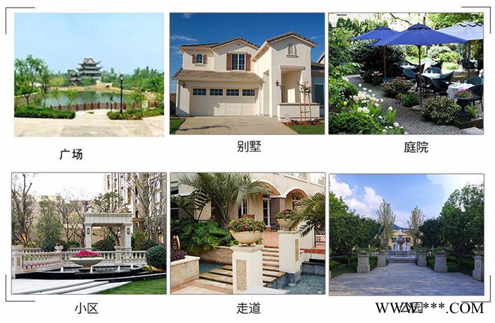 TSZTSZ-3 太阳能景观灯价格图5