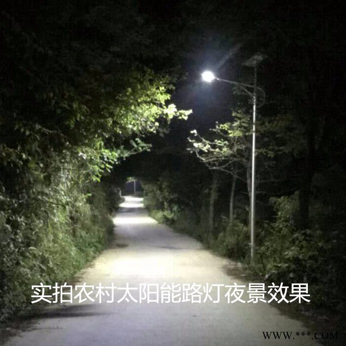 遵义市太阳能路灯  30W6米农村太阳能路灯   ** 乡村庭院灯民族灯 贵州太阳能路灯图4