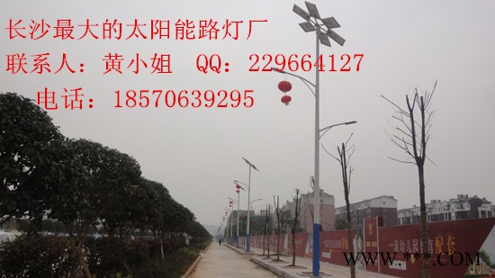 浏阳太阳能灯图3