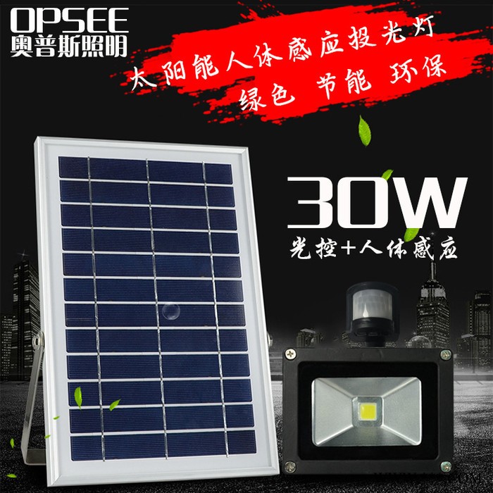 30W太阳能人体感应投光灯 led户外防水太阳能泛光灯 太阳能楼道灯图2
