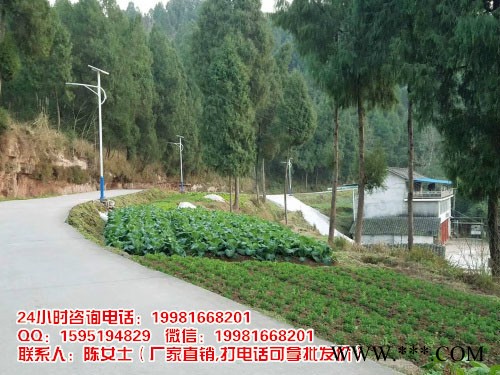 德阳太阳能路灯图3