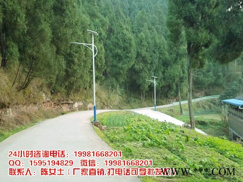 德阳太阳能路灯图4