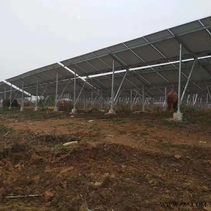 瑞铭达 光伏温室大棚 光伏支架，光伏大棚支架。图3