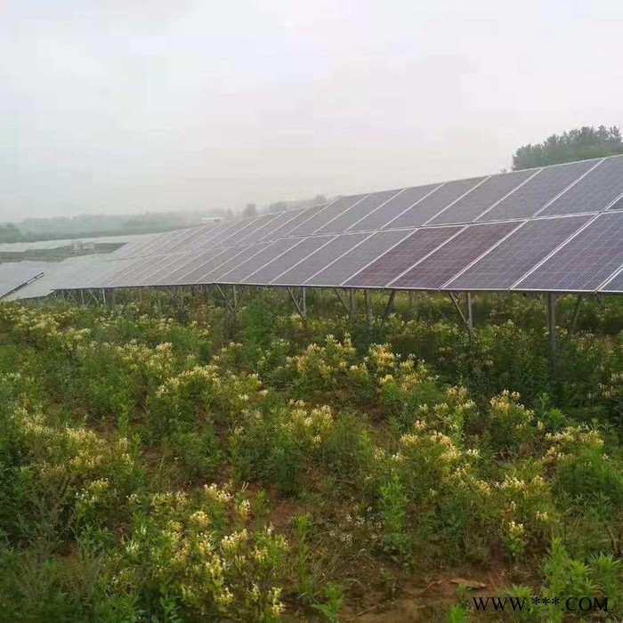 瑞铭达 光伏温室大棚 光伏支架，光伏大棚支架。图6