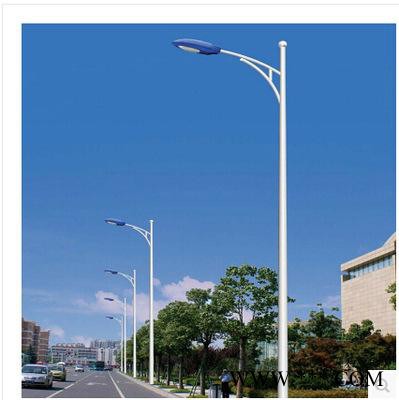 蓝润LR-60 太阳能LED路灯 城市道路照明灯 乡村道路照明灯图3