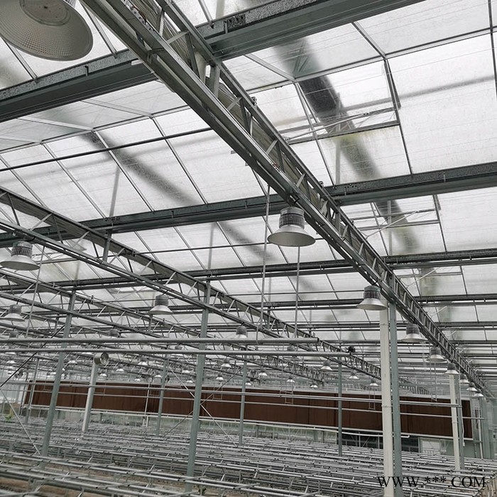 光伏温室承建厂家 新型光伏温室大棚造价图4