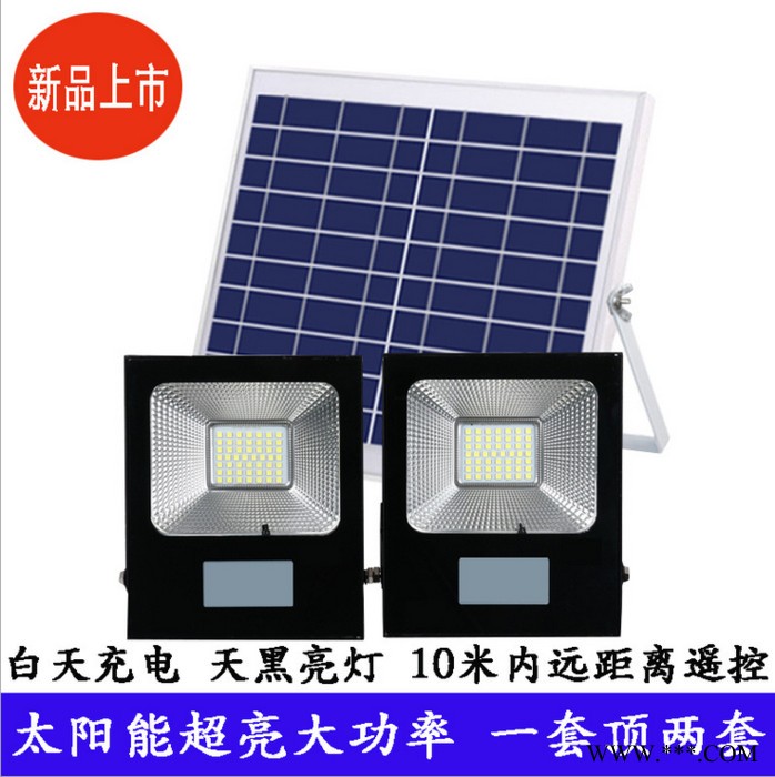厂家批发_LED太阳能投光灯_防水 一拖二LED太阳能照明灯 户外防水光控路灯庭院灯图4