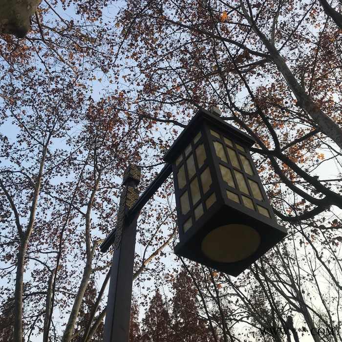 FNZH/伍玖照明JGD0643 常州4米LED庭院灯厂家 小区园林广场景区道路景观照明亮化 常州庭院灯厂家太阳能景观灯图3