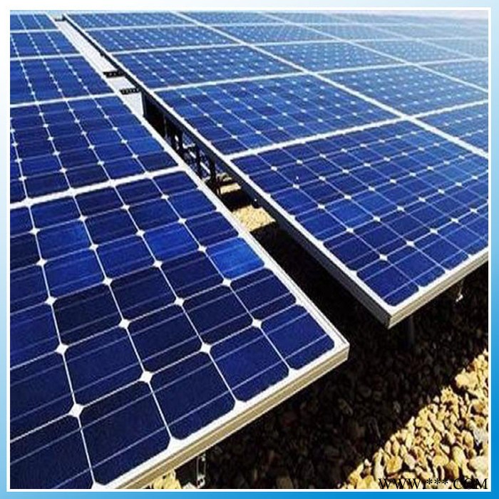 供应蓝润300W 太阳能光伏板 光伏板生产厂家 批发太阳能光伏板图1