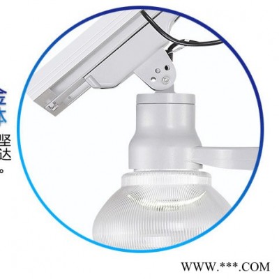 led太阳能路灯厂家 供应景区驾校专用led路灯 锂电池太阳能路灯市场趋势