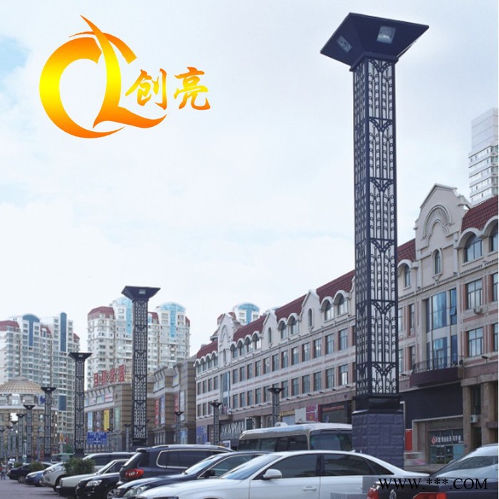 创亮户外照明CL-1639户外LED景观灯 家用花园庭院灯 新农村30W太阳能路灯 质量保证图3