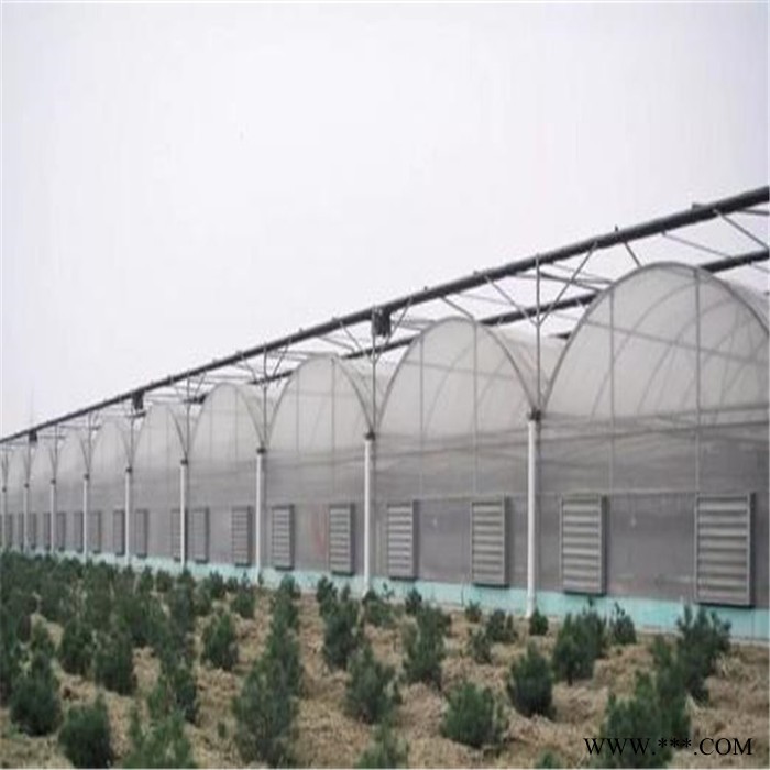 建设新型光伏大棚 江苏连栋温室大棚承接 旭航