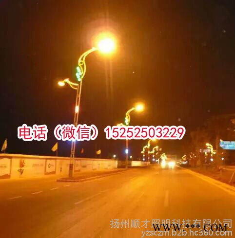 球形圆形景观路灯庭院路灯头花瓣朵灯具配件复古仿古路灯灯具太阳能市电庭院灯草地灯灯具定制做墙头角脚灯苹果灯不规则异形型路灯图7