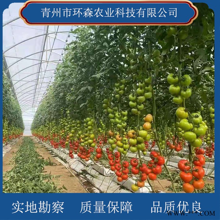 光伏蔬菜大棚 新型蔬菜大棚 环森 上门安装设计图8