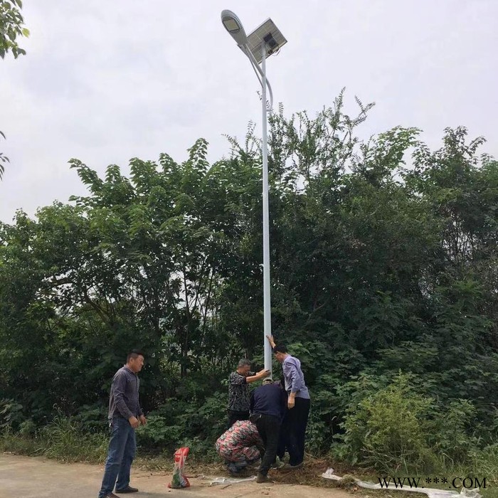 奋钧TYN-010 太阳能路灯6米led锂电池太阳能路灯30w瓦新农村乡村小路道路灯户外5米7米量大从优图5