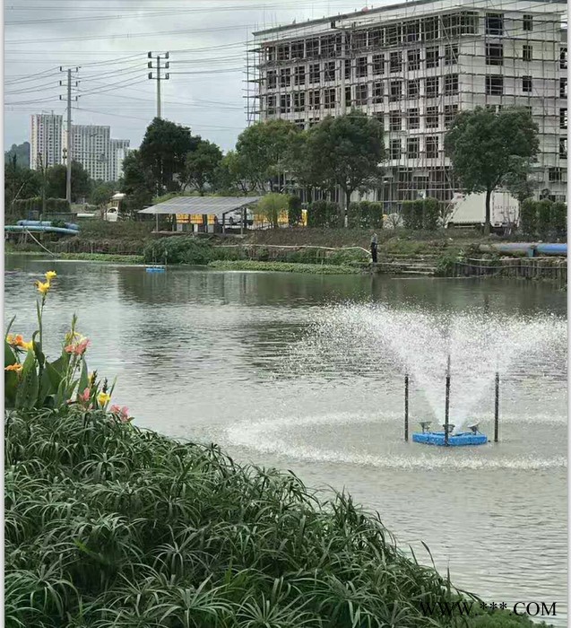 供应天环 光伏曝气机 环保节能太阳能曝气机图2