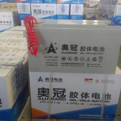 奥冠胶体蓄电池6-CNFJ-75 12V75AH光伏发电太阳能电池 电动轿车专用电池  通讯电源电池 牵引线蓄电池
