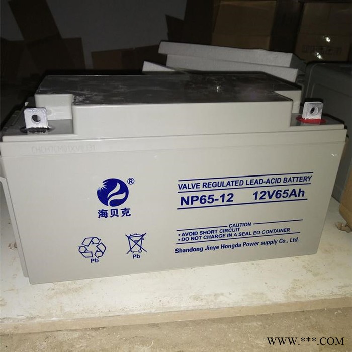 海贝克蓄电池NP-120阀控式密闭蓄电池 太阳能胶体铅碳蓄电池 UPS直流屏太阳能光伏专用蓄电池12V120AH质保三年图3