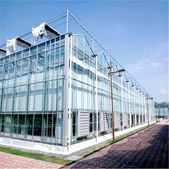 河南温室工程安装公司 玻光伏璃温室大棚 旭航 玻璃温室图4