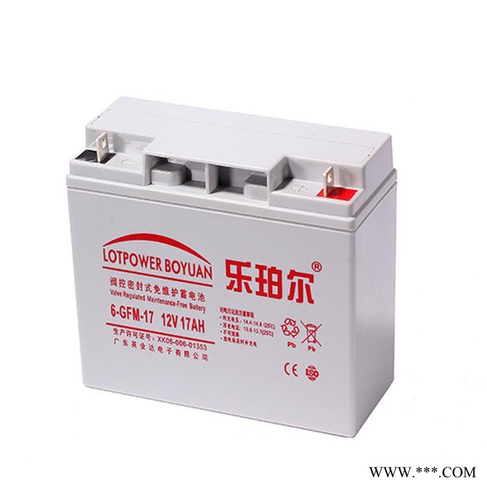 乐珀尔蓄电池6-GFM-100 太阳能街灯蓄电系统 12V100AH 现货供应图3