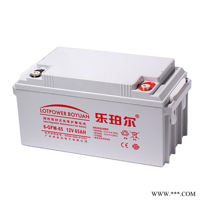 乐珀尔蓄电池6-GFM-100 太阳能街灯蓄电系统 12V100AH 现货供应图2