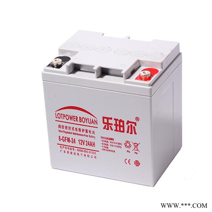 乐珀尔蓄电池6-GFM-100 太阳能街灯蓄电系统 12V100AH 现货供应图7