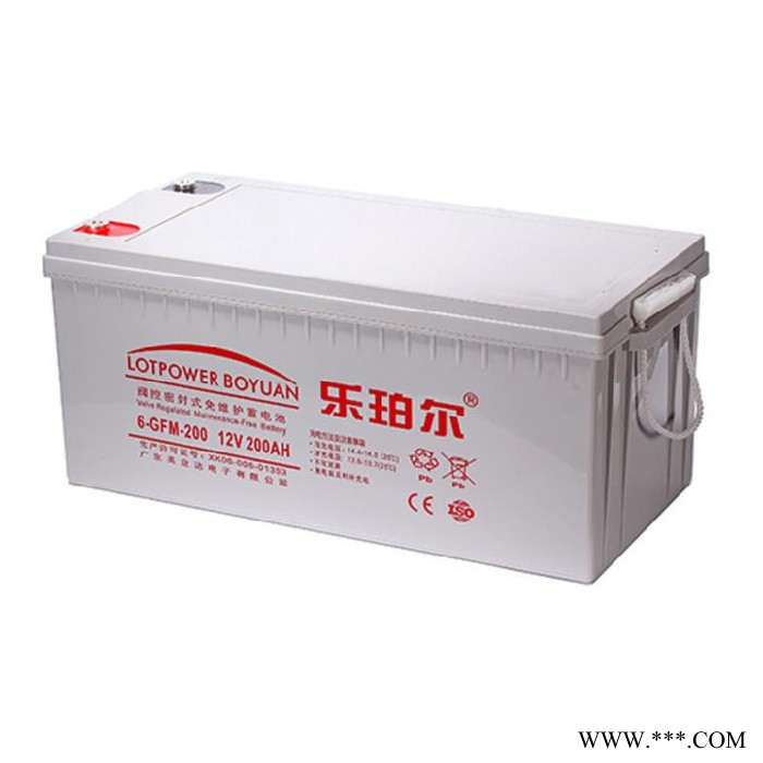 乐珀尔蓄电池6-GFM-100 太阳能街灯蓄电系统 12V100AH 现货供应图6