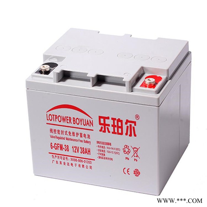 乐珀尔蓄电池6-GFM-100 太阳能街灯蓄电系统 12V100AH 现货供应图8