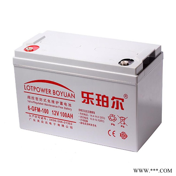 乐珀尔蓄电池6-GFM-100 太阳能街灯蓄电系统 12V100AH 现货供应图4