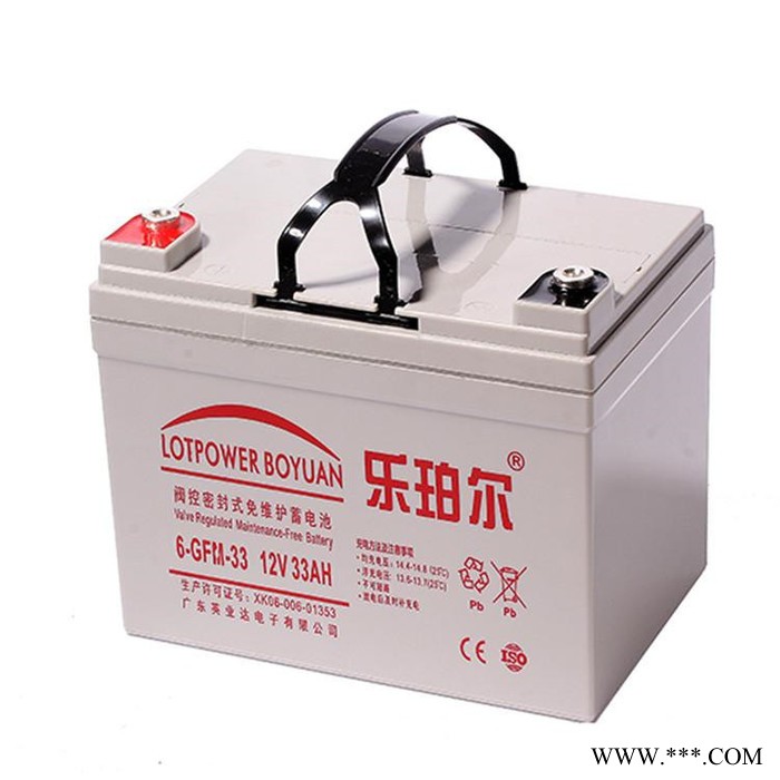 乐珀尔蓄电池6-GFM-24  太阳能街灯蓄电系统 12V24AH 现货供应图6