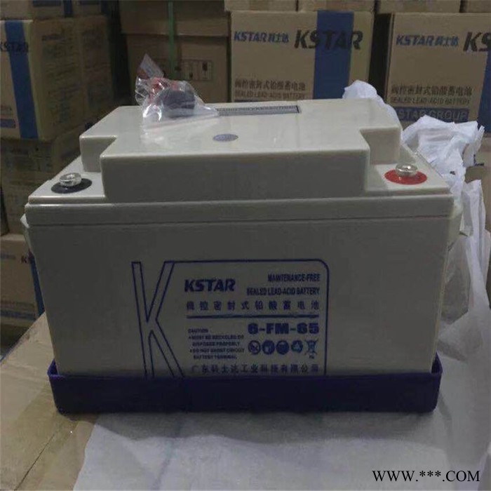 科士达蓄电池 UPS电源蓄电池 6-FM-38蓄电池 光伏发电蓄电池 长期有货图4