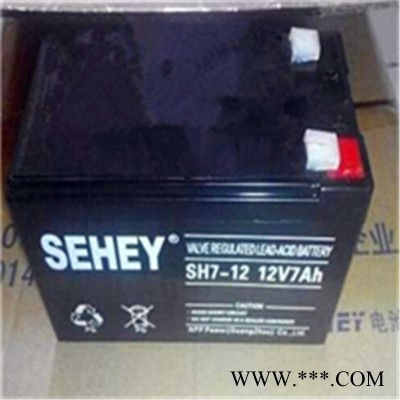 西力SEHEY蓄电池SH65-12/12V65AH 免维护蓄电池 UPS电源 铅酸蓄电池 太阳能蓄电池图7